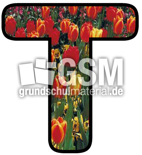 Dekobuchstaben-Tulpe_T.jpg